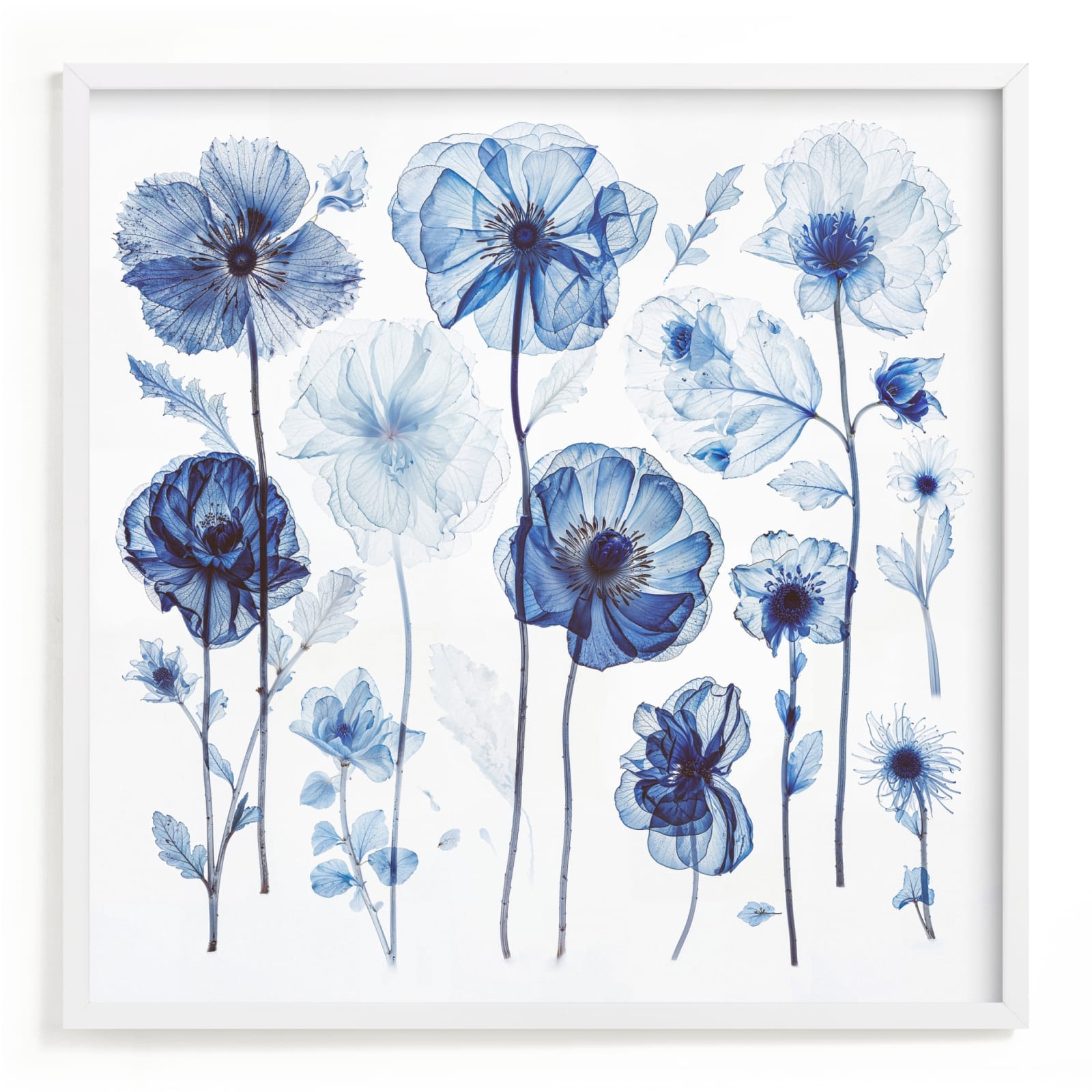 Blue Arrangement Limited Edition Fine Art Print 2 - Image 0