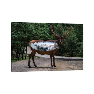 Reindeer II by Paul Haag - Wrapped Canvas Photograph Print - Image 0