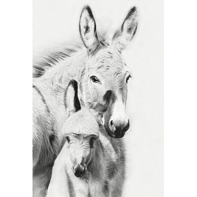 Donkey Portrait V Print On Canvas - Image 0