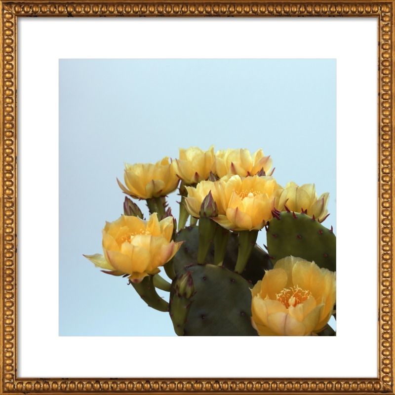 Prickly Pear #3 by Alicia Bock for Artfully Walls - Image 0