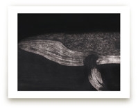 Majestic Humpback Whale Limited Edition Fine Art Print 2 - Image 0