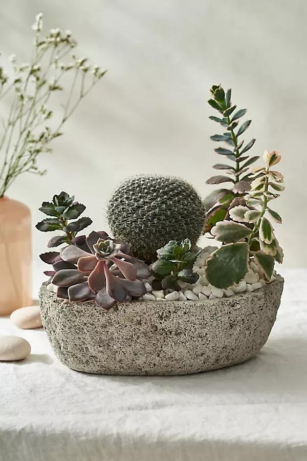 Pumice Boat Planter - Image 0