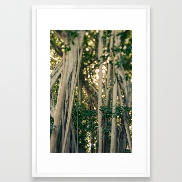 Banyan Tree - Tropical Decor Framed Art Print by Olivia Joy St.claire - Cozy Home Decor, - Vector White - LARGE (Gallery)-26x38 - Image 0