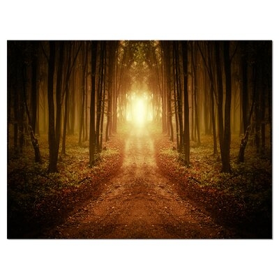'Road in Symmetrical Forest'Photograph - Image 0