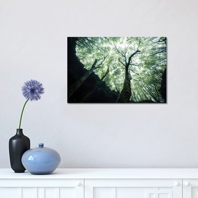 Growing Towards The Light by Fabian Fortmann - Wrapped Canvas Gallery-Wrapped Canvas Giclée - Image 0