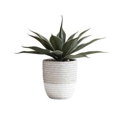 9.5'' Artificial Succulent Plant in Pot - Image 0