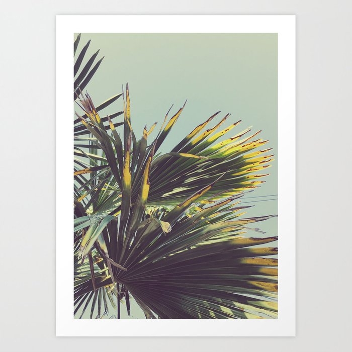 Palm Tree Art Print by Cassia Beck - X-Large - Image 0
