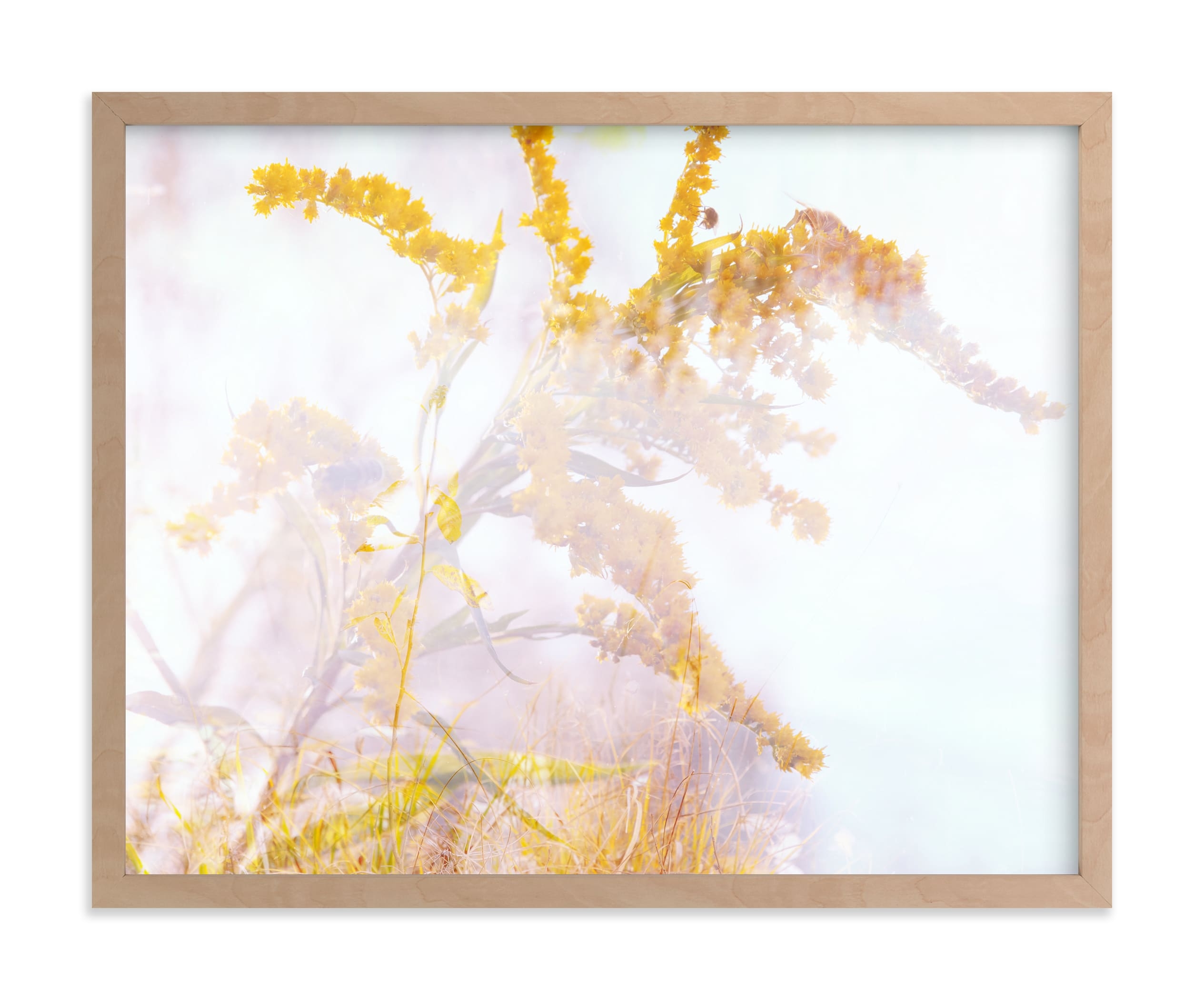 Autumn Breath IV Limited Edition Fine Art Print 1 - Image 0