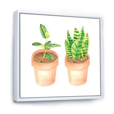 Sansevieria & Ficus Indoor Green Home House Plants - Traditional Canvas Wall Art Print FL35490 - Image 0