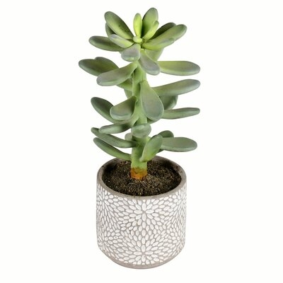 11" Artificial Succulent in Pot - Image 0