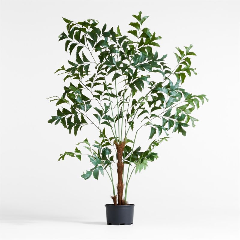 Potted Faux Fishtail Palm Tree 6.5' - Image 1