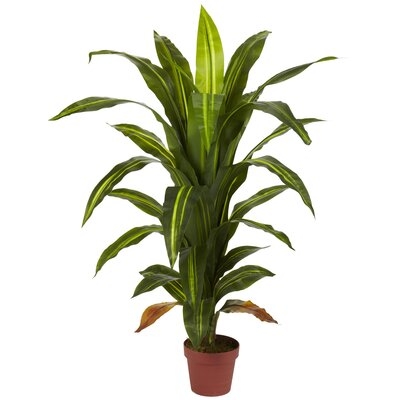 4' Dracaena Silk Plant (Real Touch) - Image 0