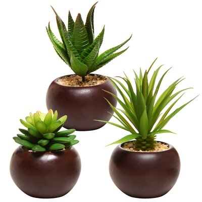 3 - Piece Artificial Succulent in Pot Set - Image 0