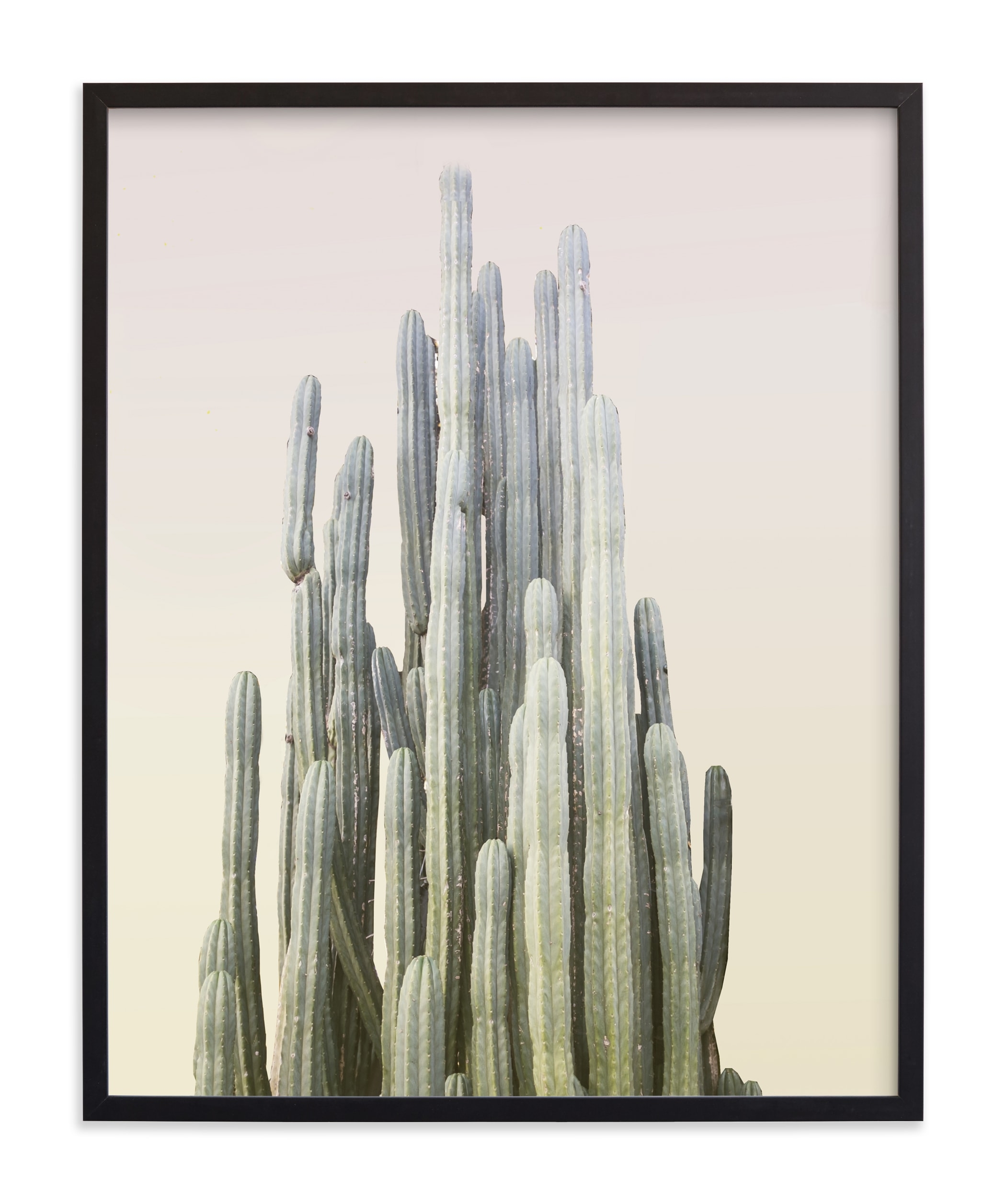 Summer Yellow Cactus Limited Edition Art Print - Image 0