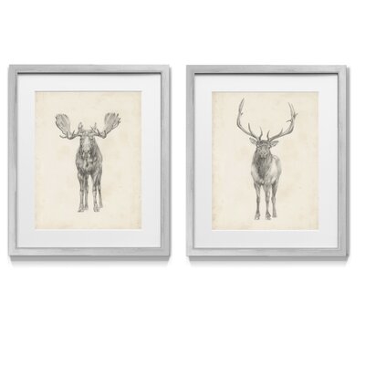 Moose Study - 2 Piece Picture Frame Graphic Art Print Set on Paper - Image 0