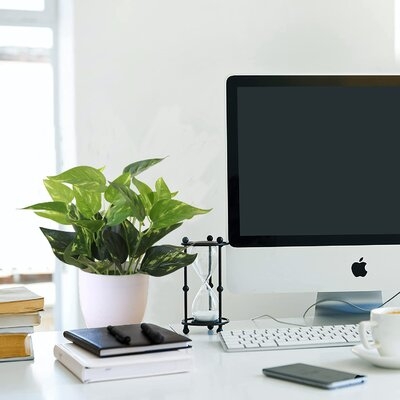 Fake Plants Artificial Potted Faux Plants For Office Desk Home Farmhouse Decor - Image 0