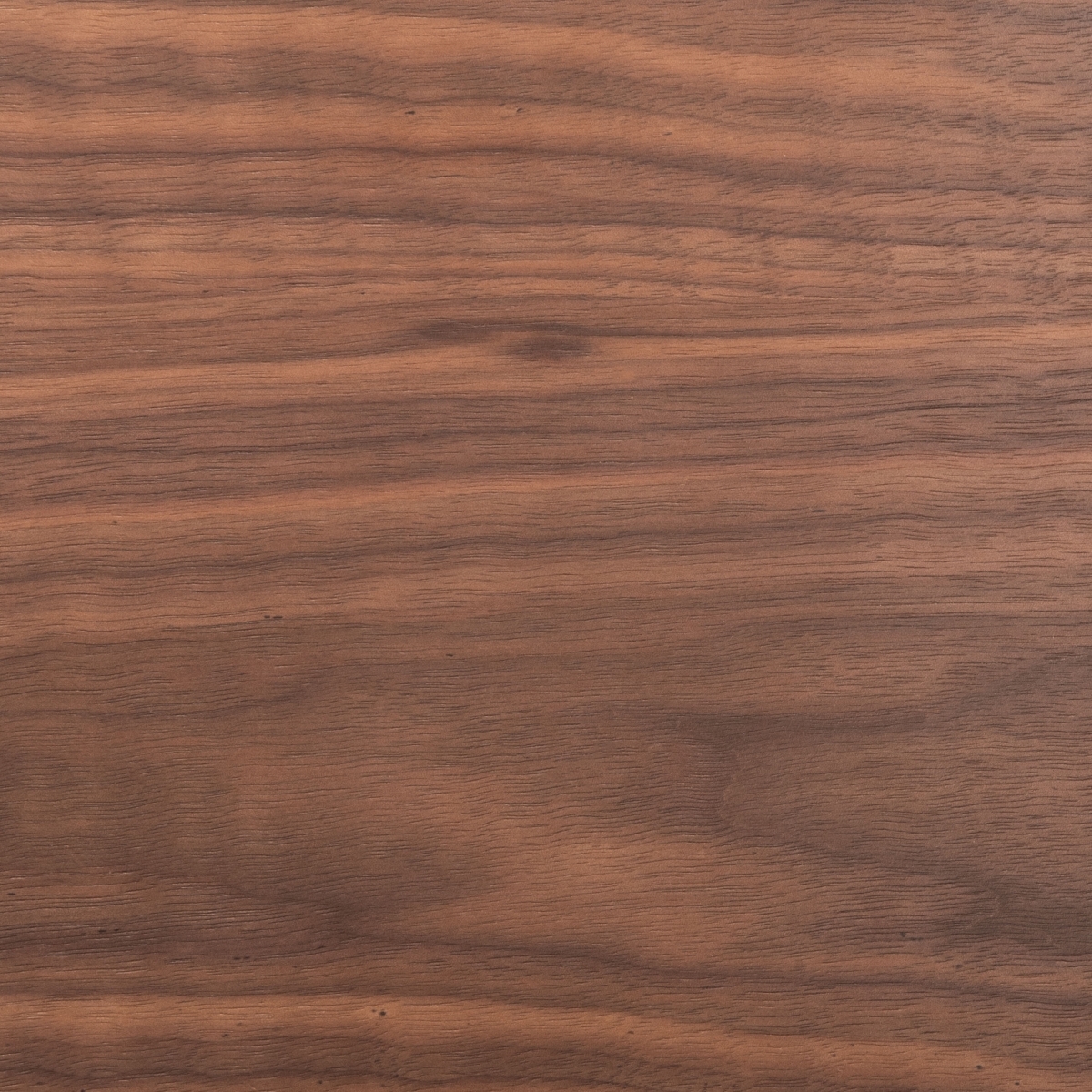 Ryker Dining Chair - Walnut / Black - Safavieh - Image 4