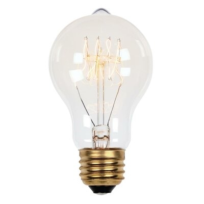 A19 Incandescent, Light Bulb, Soft White (2450K) E26/Medium (Standard) Base - Image 0
