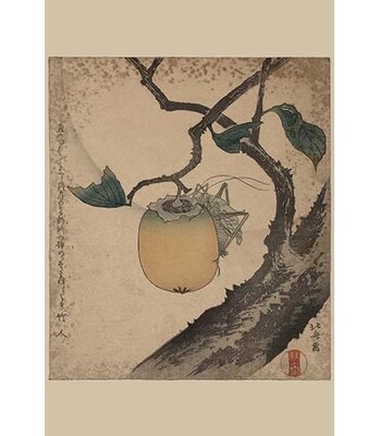 'Grasshopper Eating Persimmon.' by Katsushika Hokusai Print - Image 0