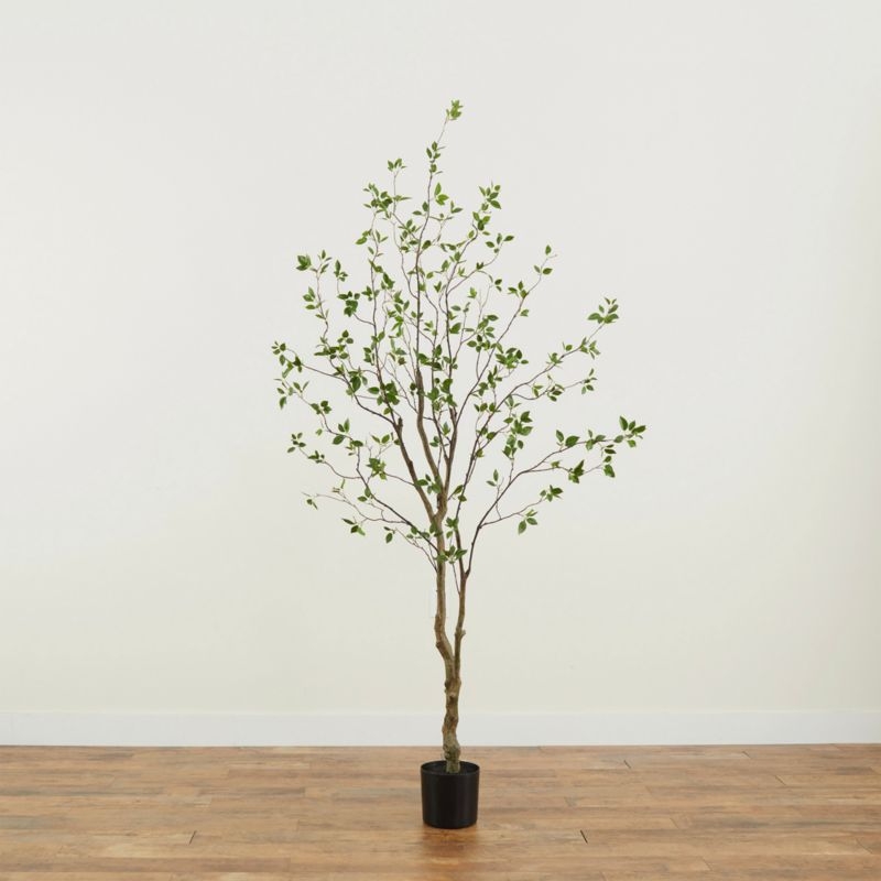 Faux Minimalist Citrus Tree 5' - Image 1