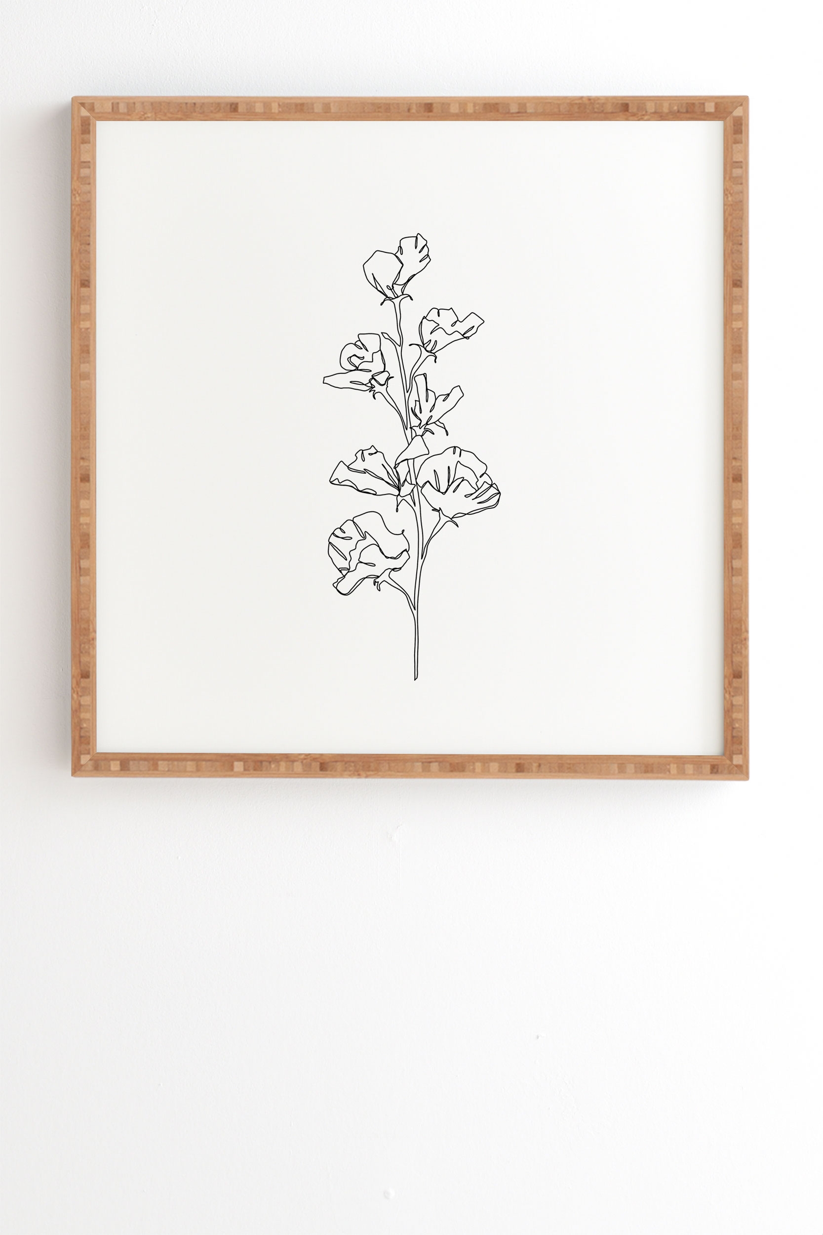 Cotton Flower Illustration by The Colour Study - Framed Wall Art Bamboo 8" x 9.5" - Image 1