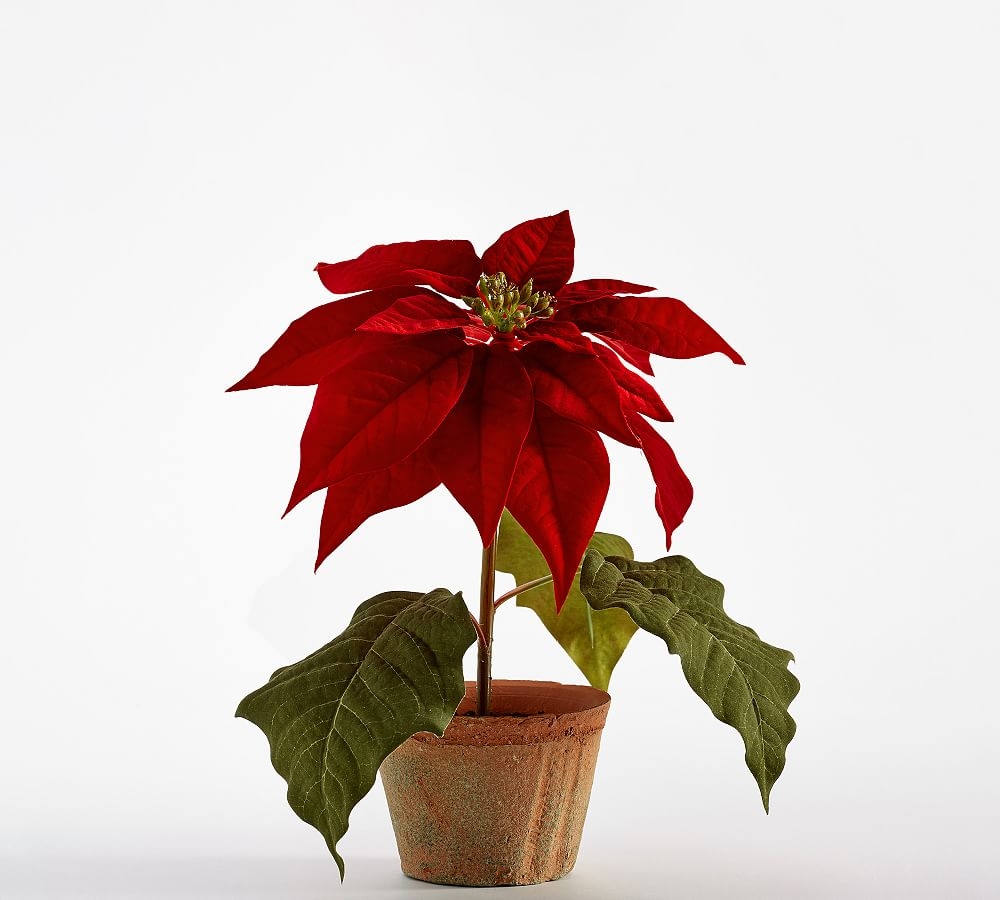 Faux Potted Poinsettias, Small, Red - Image 0