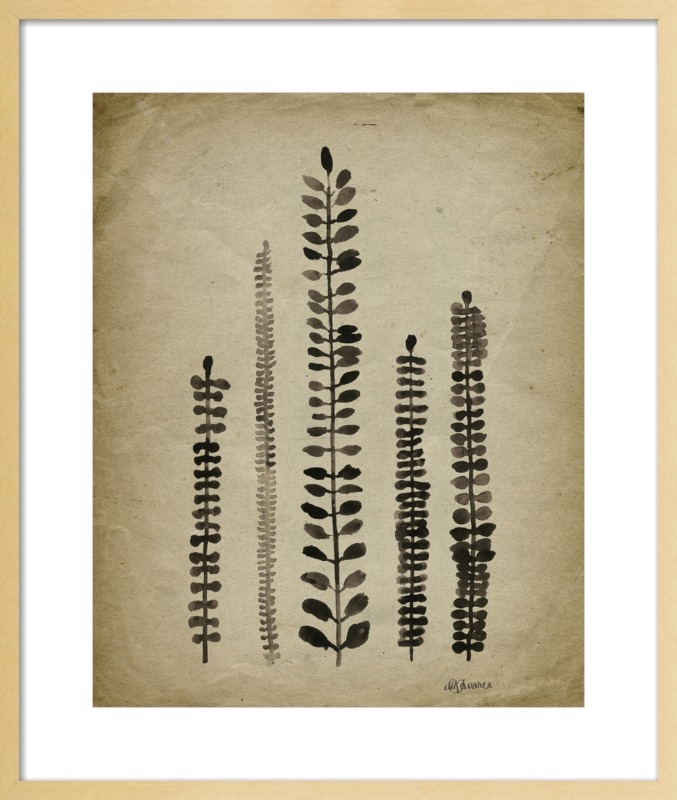 Rustic Ferns by Michelle Tavares for Artfully Walls - Image 0
