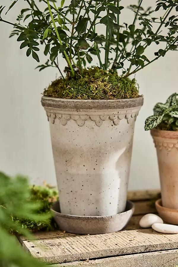 Tall Copenhagen Terracotta Pot + Saucer Set - Image 0