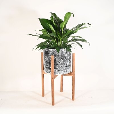 Live Plant Peace Lily With Mid Century Modern Ceramic Planter Pot 10" Black Marble With Wood Stands Natural - Image 0