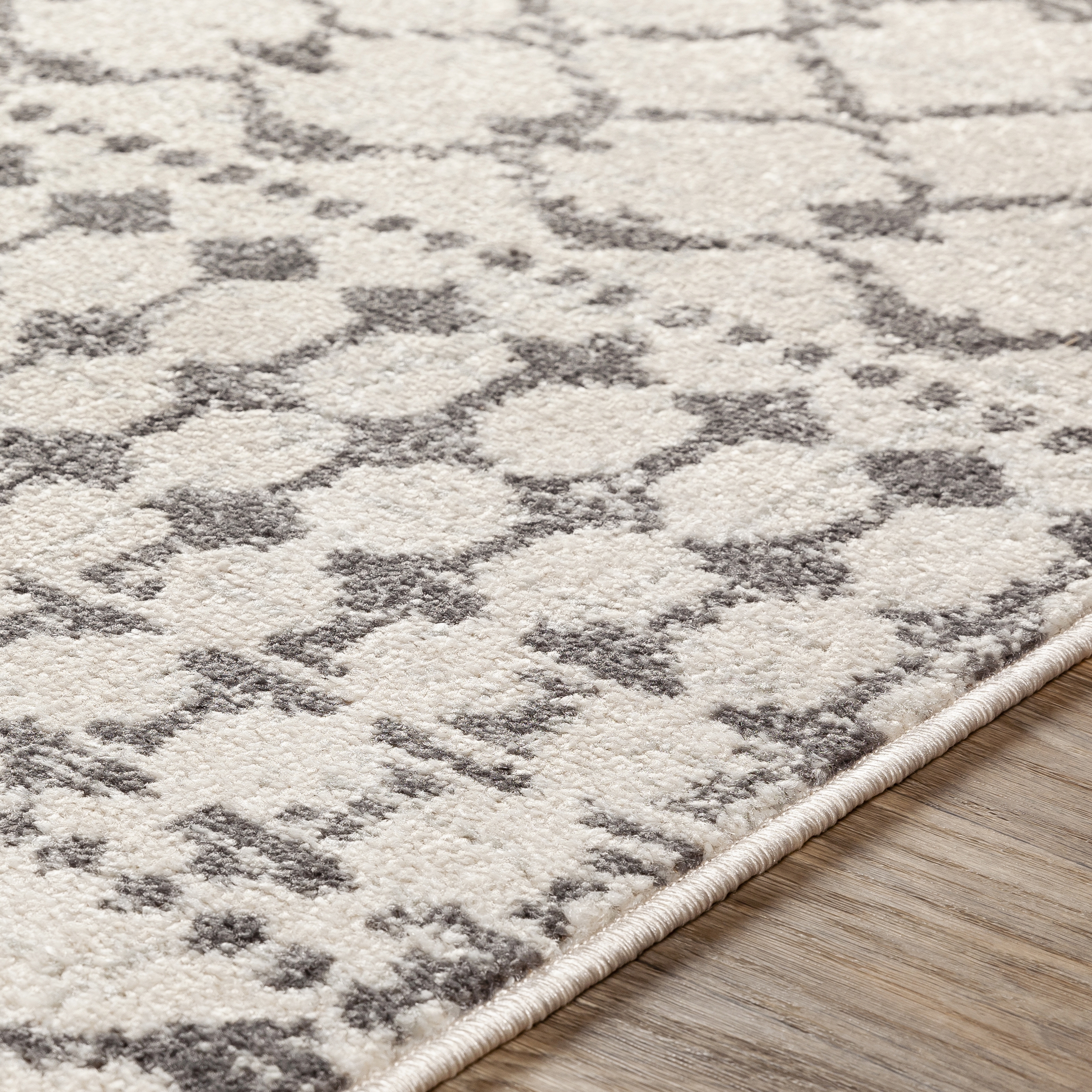 Chester Rug, 2'7" x 7'3" - Image 3