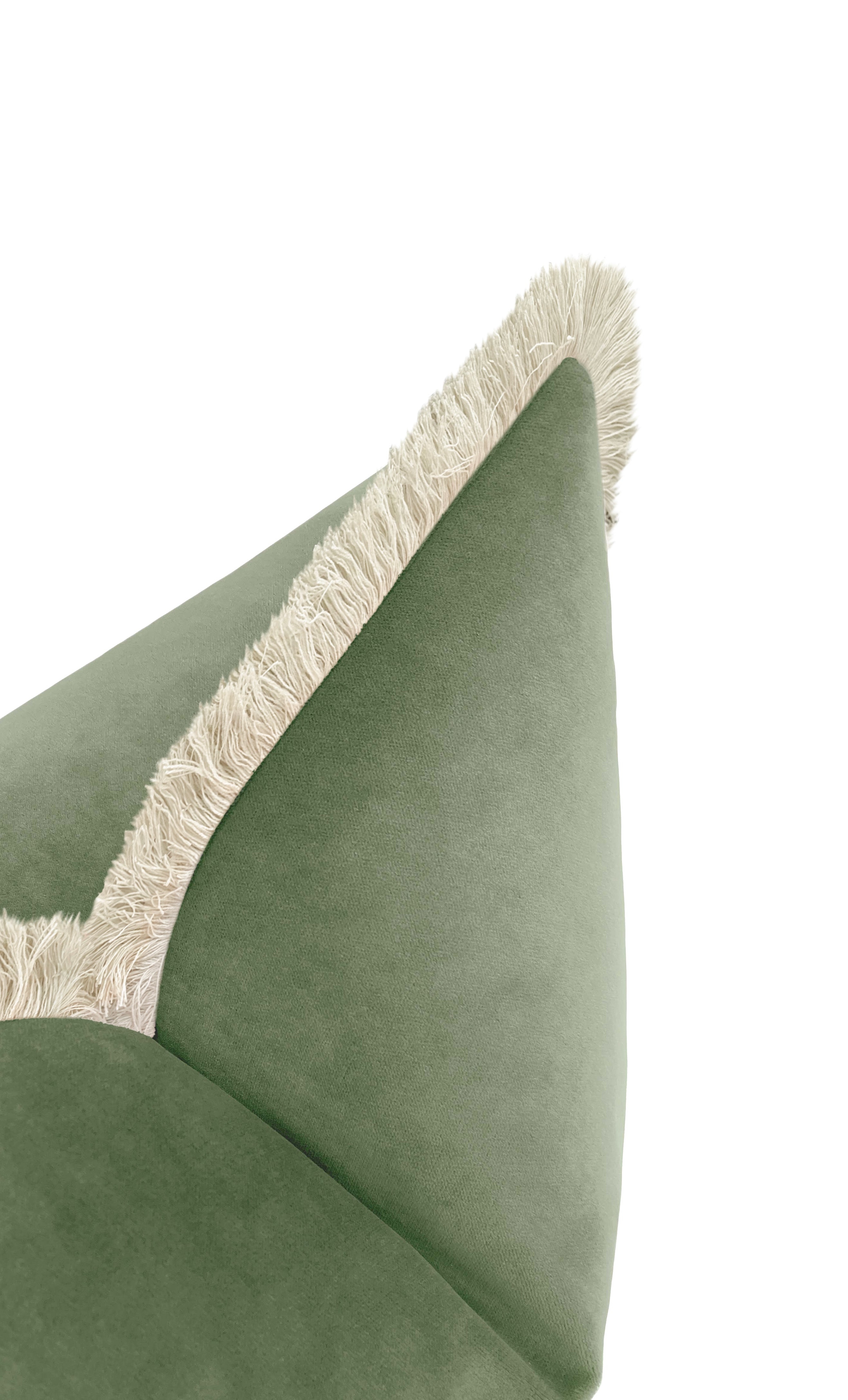 SOCIETY VELVET // EUCALYPTUS - 20” X 26” STANDARD SHAM / Knife Edge - Image 4
