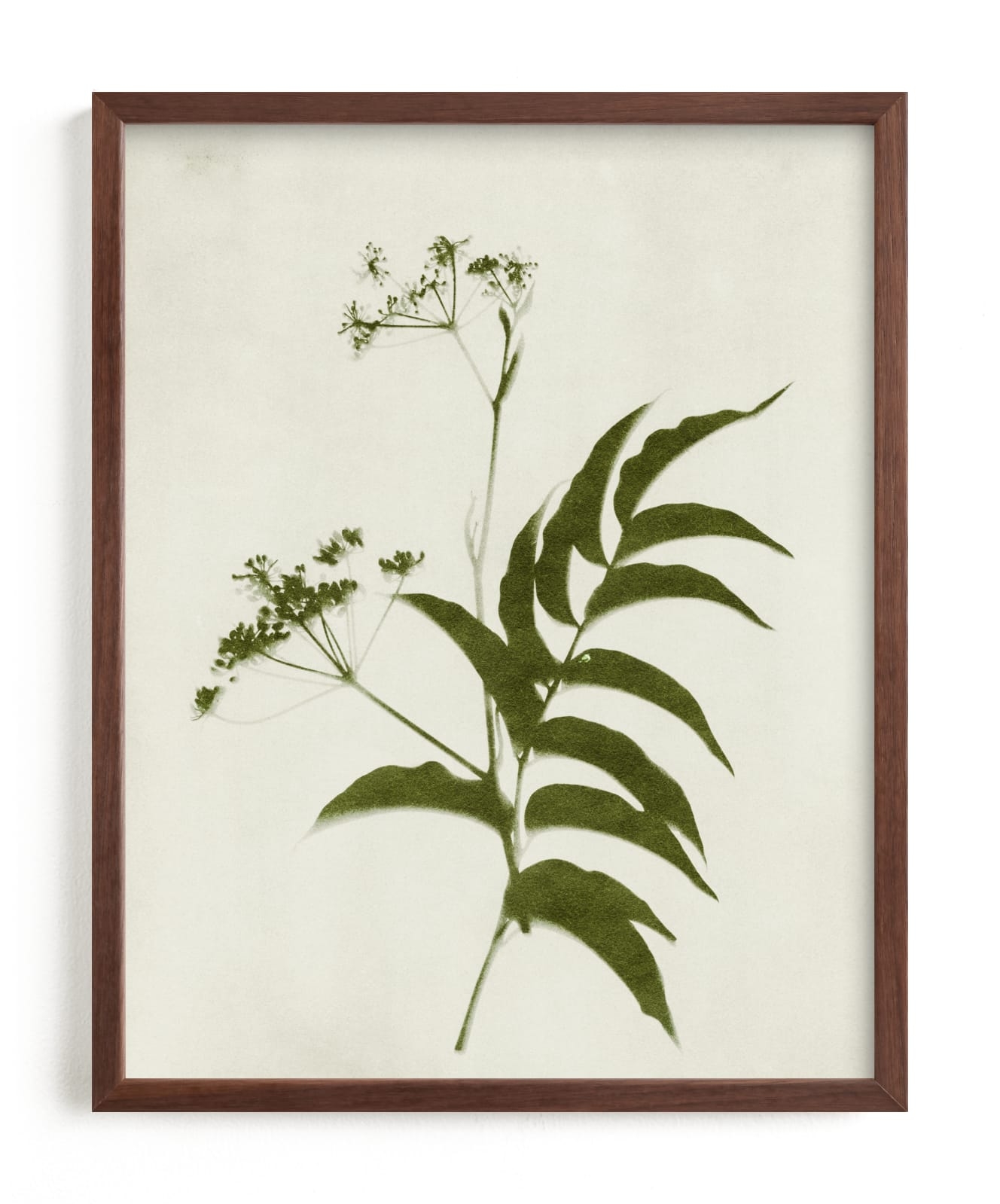 Foraged III Limited Edition Fine Art Print 2 - Image 0