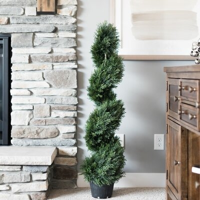 Cedar Topiary in Pot - Image 0