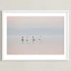 Sunrise Quartet Limited Edition Fine Art Print 2 - Image 0
