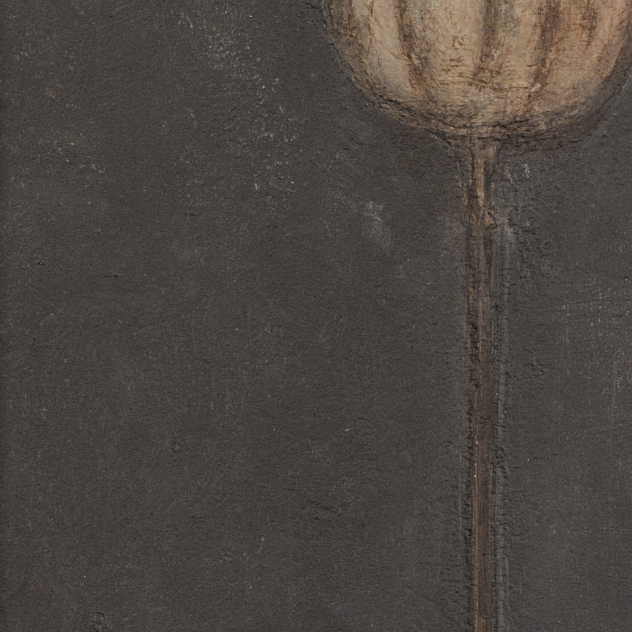 Poppy Noche by Paul Meyer - Rustic Walnut Floater - Image 4
