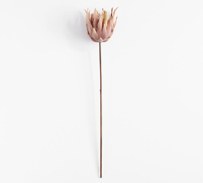 Protea Stem, One Size, Pink - Image 0