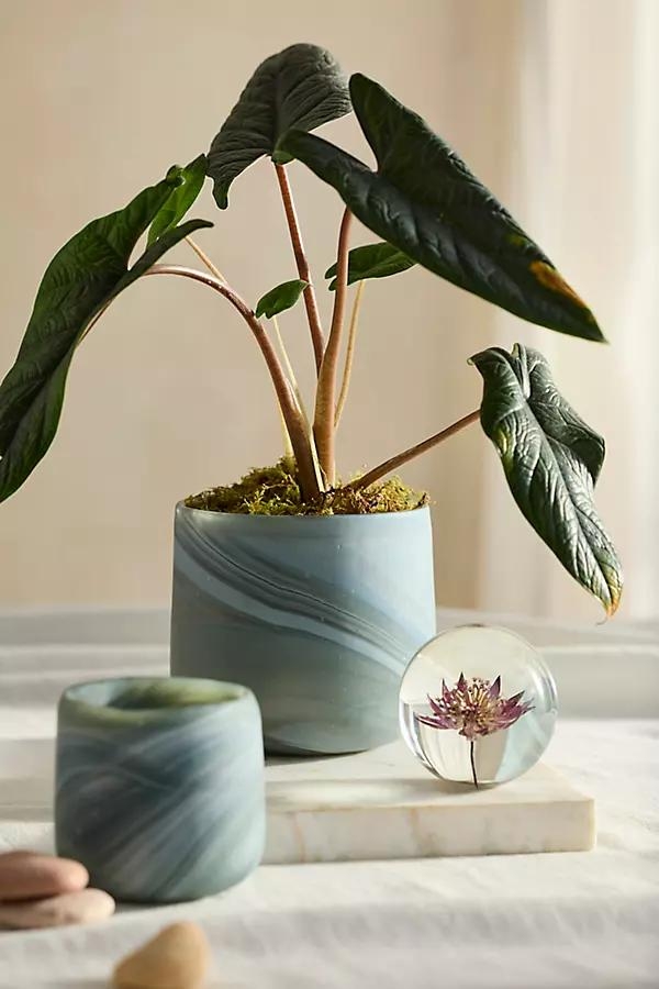 Marbled Glass Mini Planter - Image 0