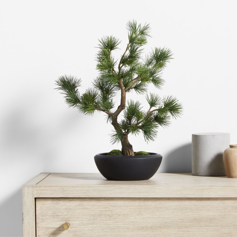 Potted Faux Pine Bonsai in Black Pot - Image 1