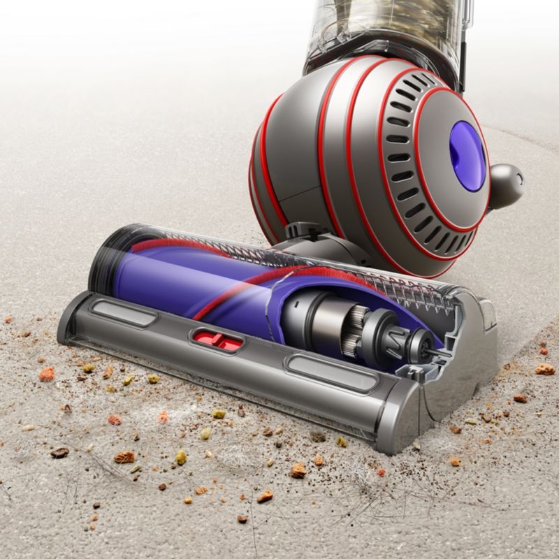 Dyson Ball Animal 3™ Upright Vacuum Cleaner - Image 1
