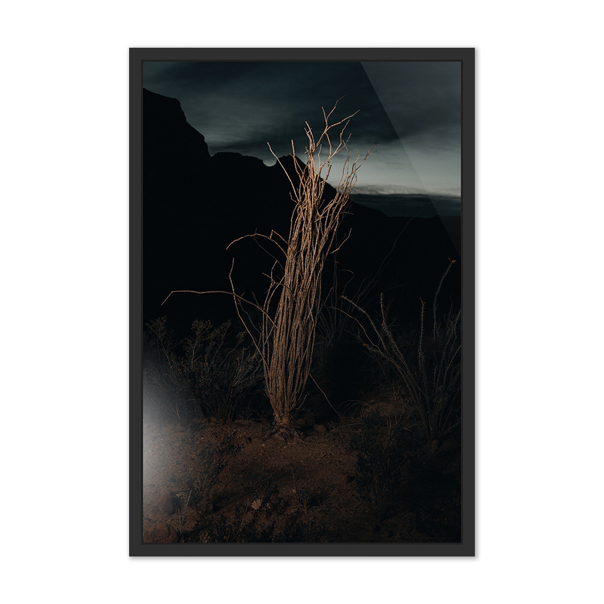 Ocotillo II by Mandy Steinback - Black Maple Floater - Image 0