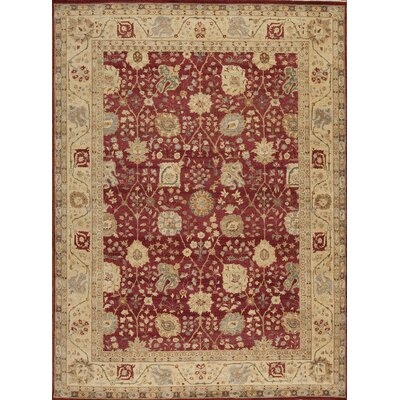 International Hand-Knotted Wool Red/Gold Area Rug - Image 0