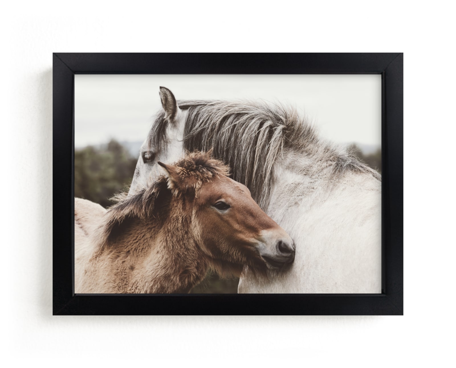 Nuzzle Limited Edition Fine Art Print 2 - Image 0