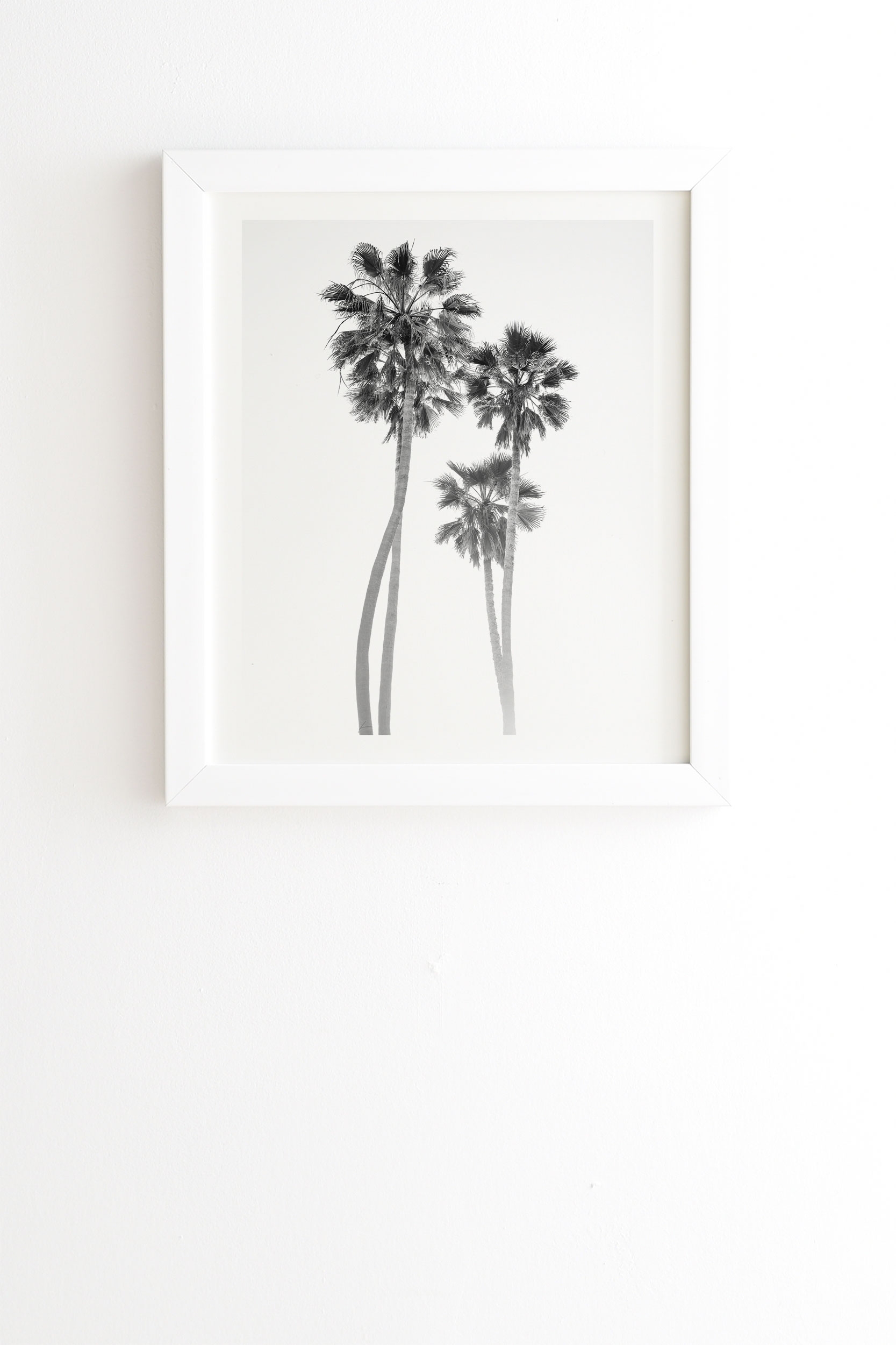 Monochrome California Palms by Bethany Young Photography - Framed Wall Art Basic White 20" x 20" - Image 0