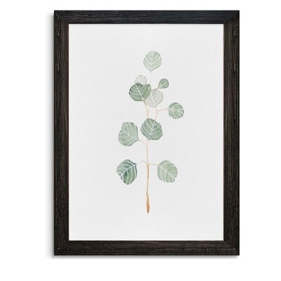 'Soft Eucalyptus Branch II' -  Picture Frame Painting on Canvas - Image 0