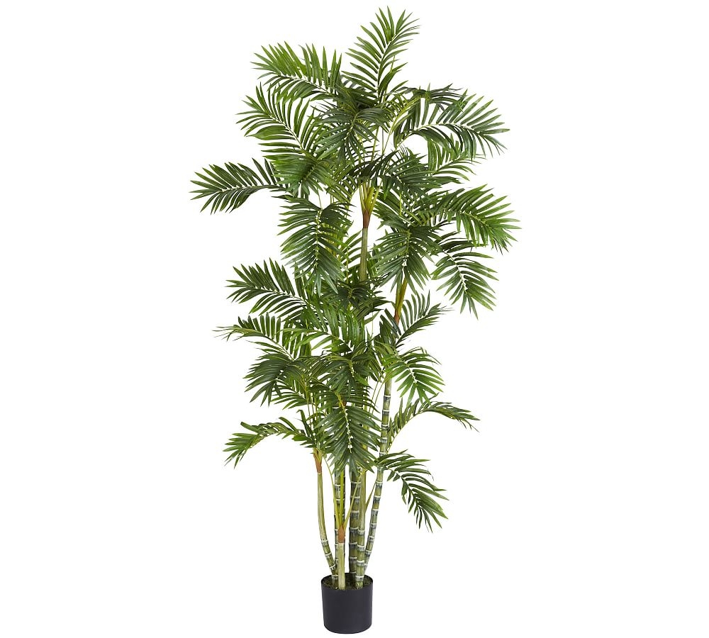 Faux Narrow Areca Palm Tree, 6' - Image 0