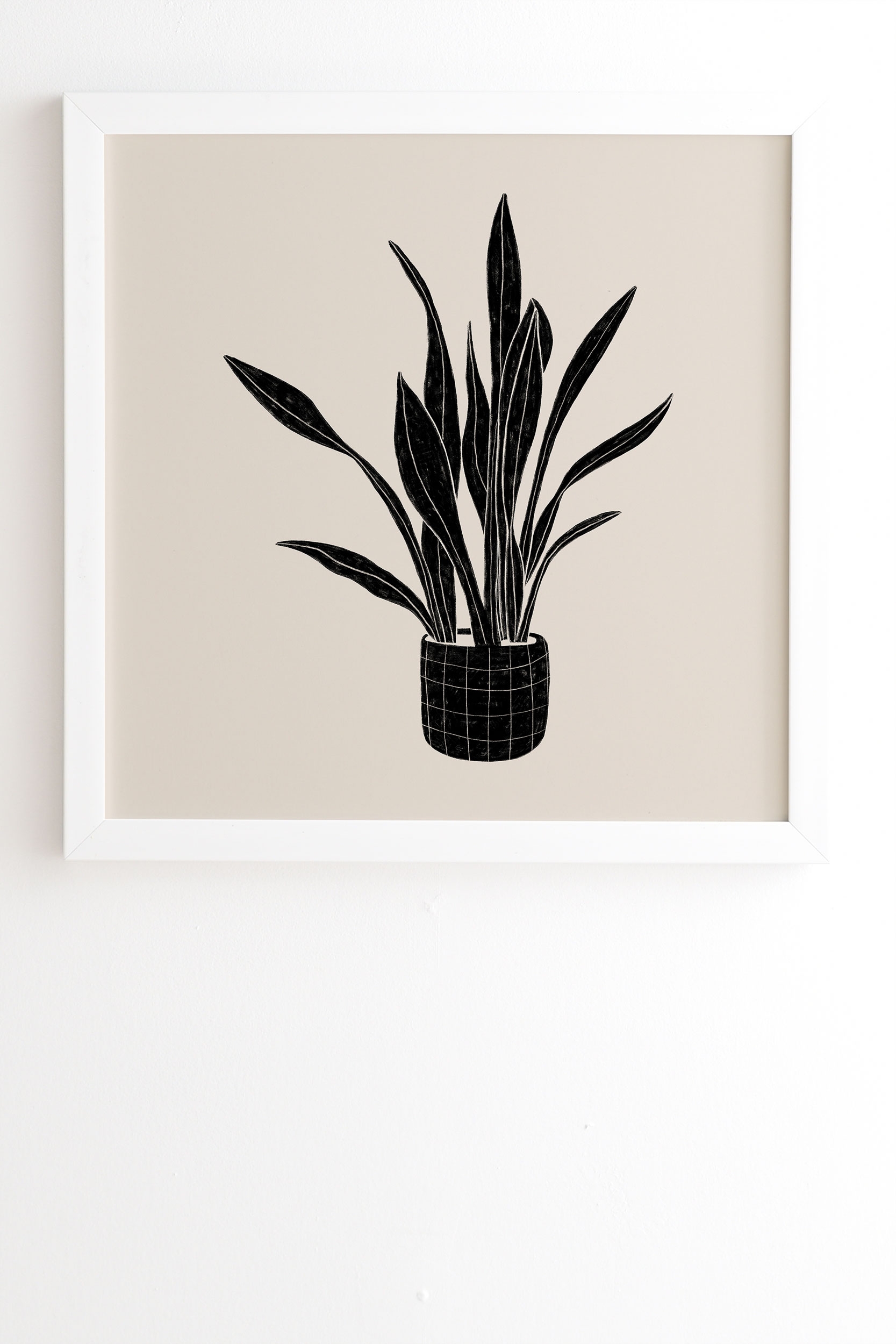Black And White Snake Plant by Alisa Galitsyna - Framed Wall Art Basic White 11" x 13" - Image 1