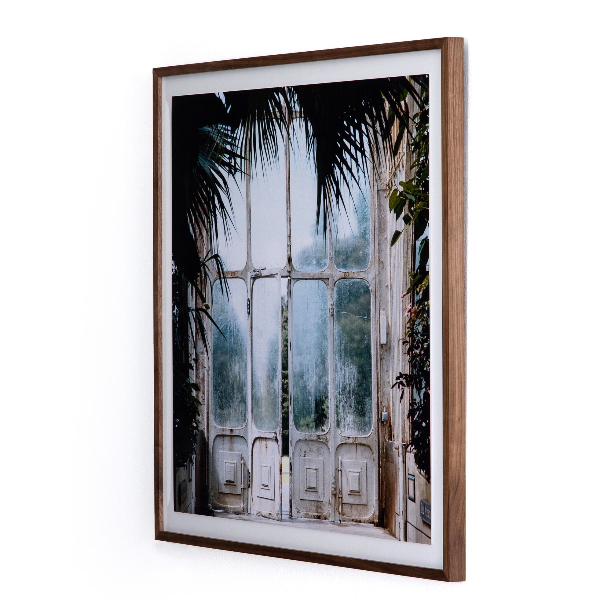 Greenhouse II by Annie Spratt - Walnut 2.5 - Image 1