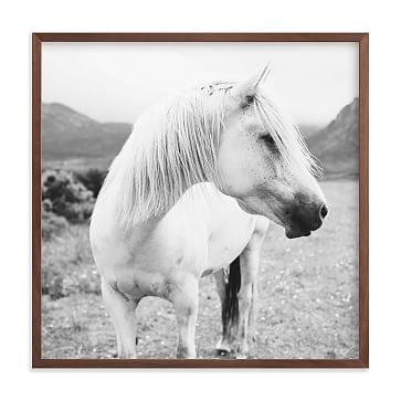 Field Horse, Natural Wood Frame, 24"x24" - Image 3