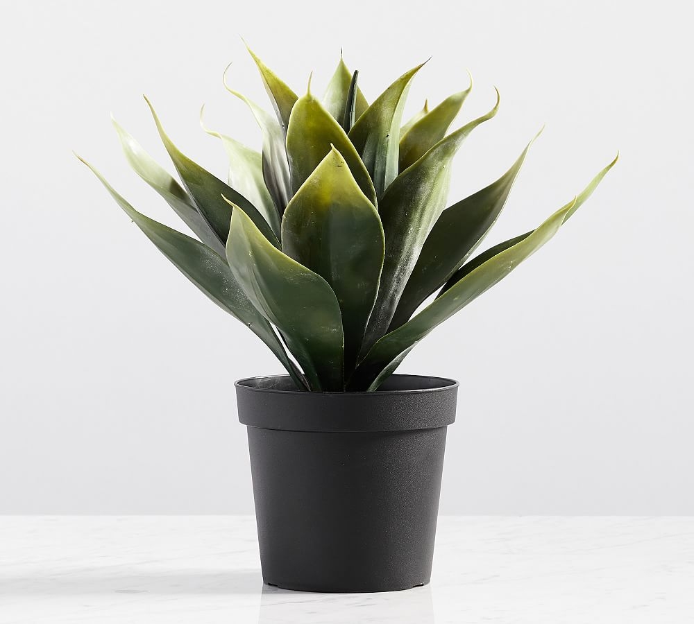 Faux Potted Aloe Vera Plant, 14"H - Image 0