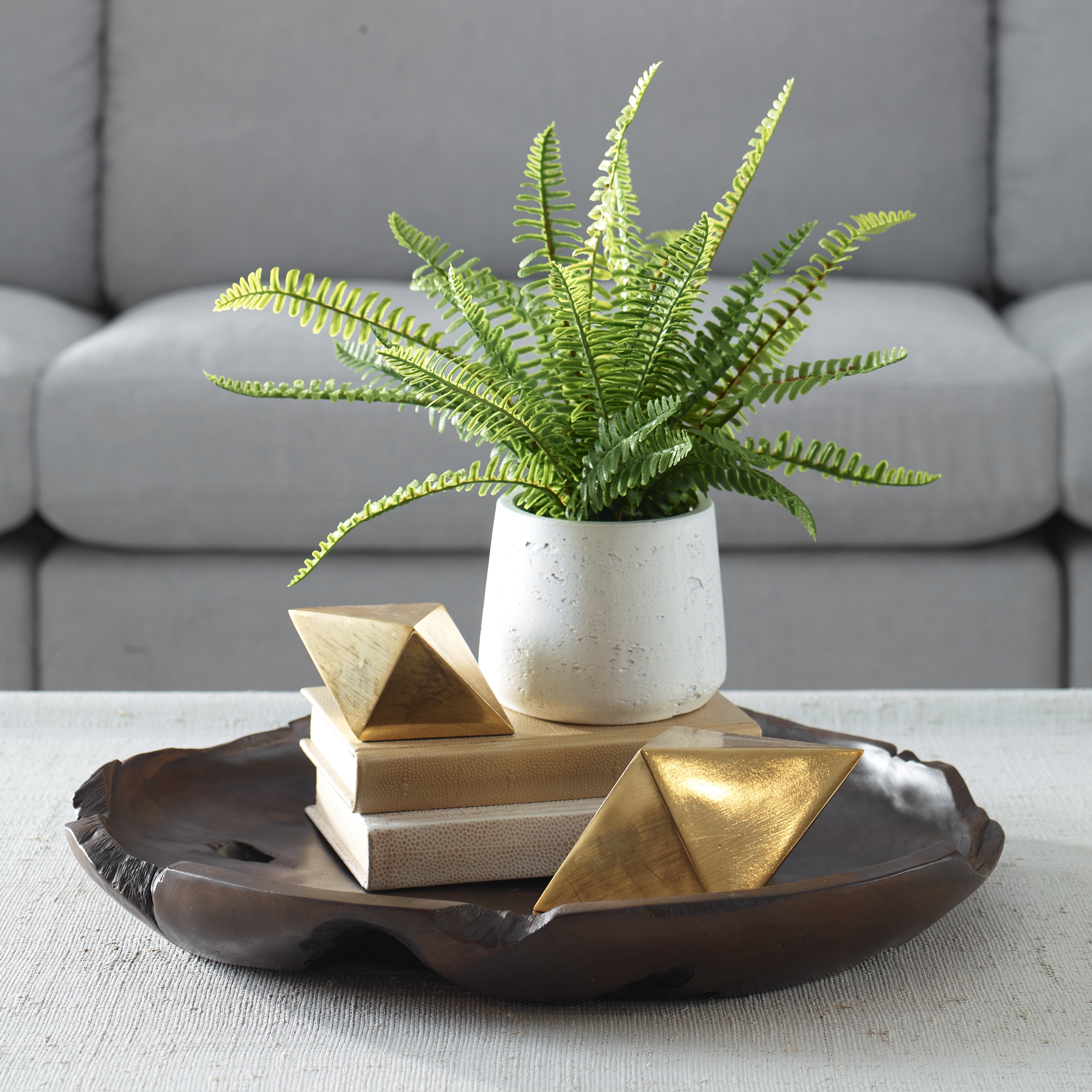 Boston Fern In White Ceramic Pot - Image 1